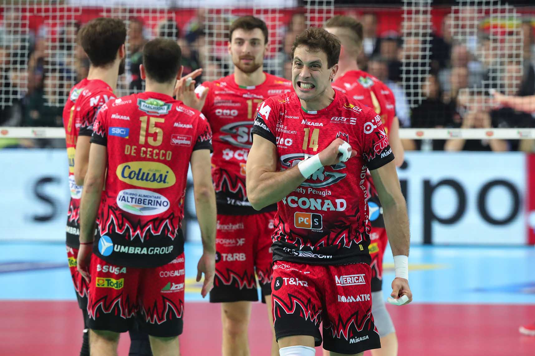 Details about   6503 Mikasa Sir Safety Perugia Volleyball Club Shirt Competition Man Fipav 